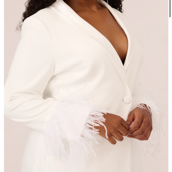 Adrianna Papell Size 18 Knit Crepe Blazer Dress w/Feather Trim - Ivory - Picture 3 of 10